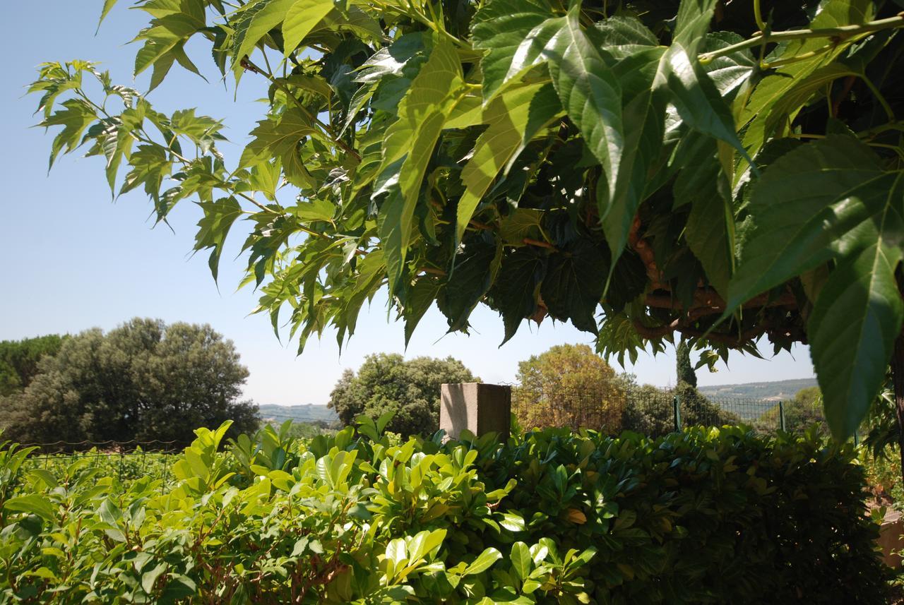 Appartamento Le Grand Barsan Vaison-la-Romaine Esterno foto